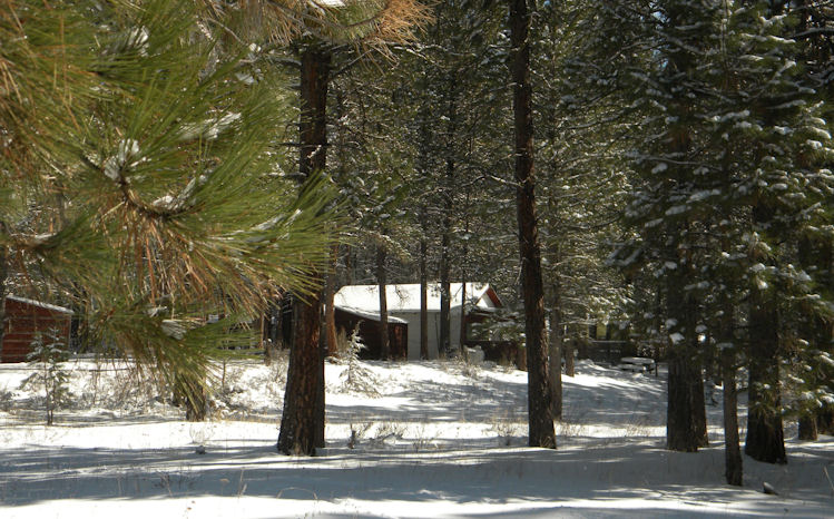 Gathering Light ... a retreat for nature lovers
offering tree houses, treehouses, the cottage and cabins near crater lake national park and klamath basin birding trails in southern oregon. . cabins, tree houses, rv camping and vacation rentals in the forest on the river near crater lake national park and klamath basin birding trails in southern oregon.